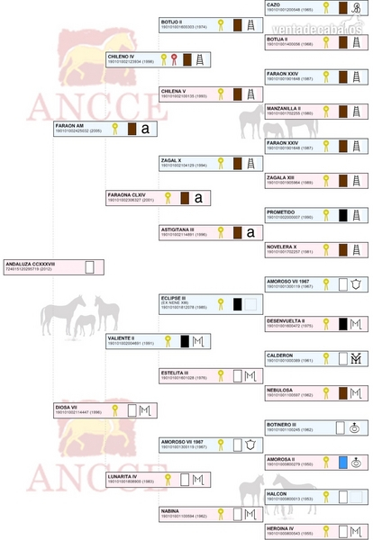 Lote de dos yeguas/potras - Caballos Pura Raza Española (P.R.E.)