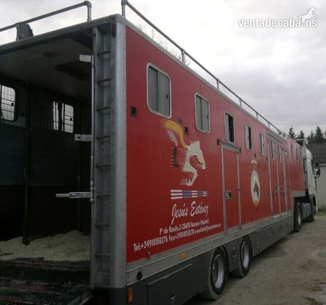 Venta de camiones de caballos