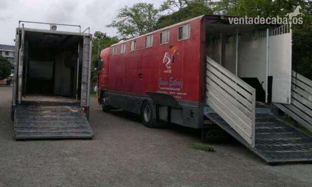 Venta de camiones de caballos - Transportes de caballos in 