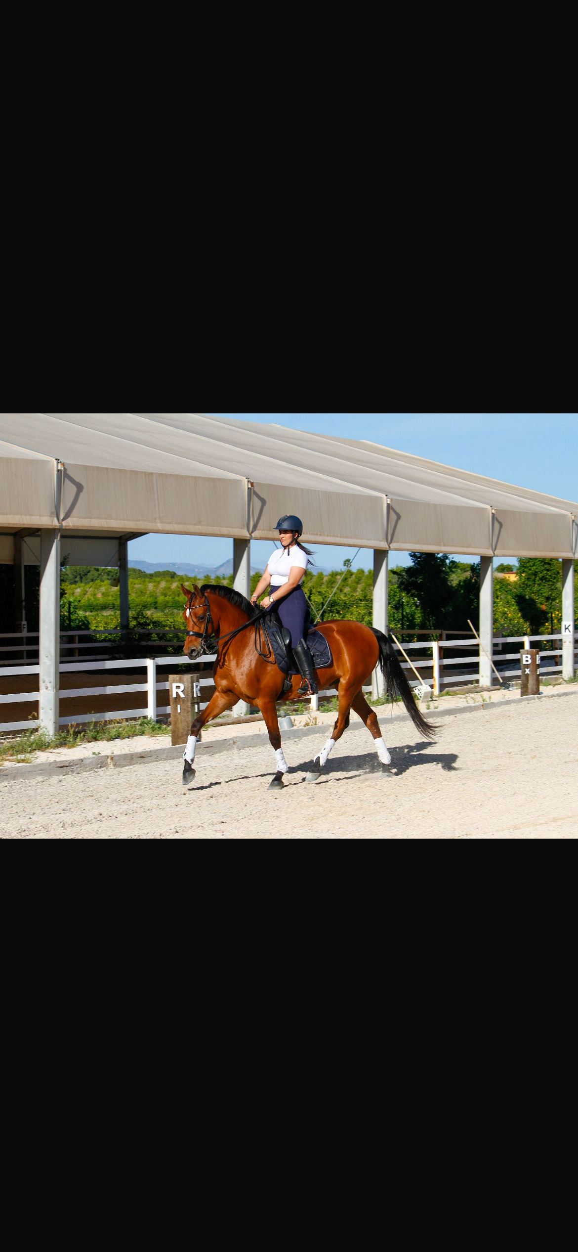 Se vende caballo hispanoárabe  - Caballo Hispano Árabe EMPTY
