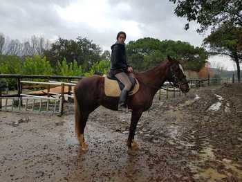 Magnifico PSI Deporte