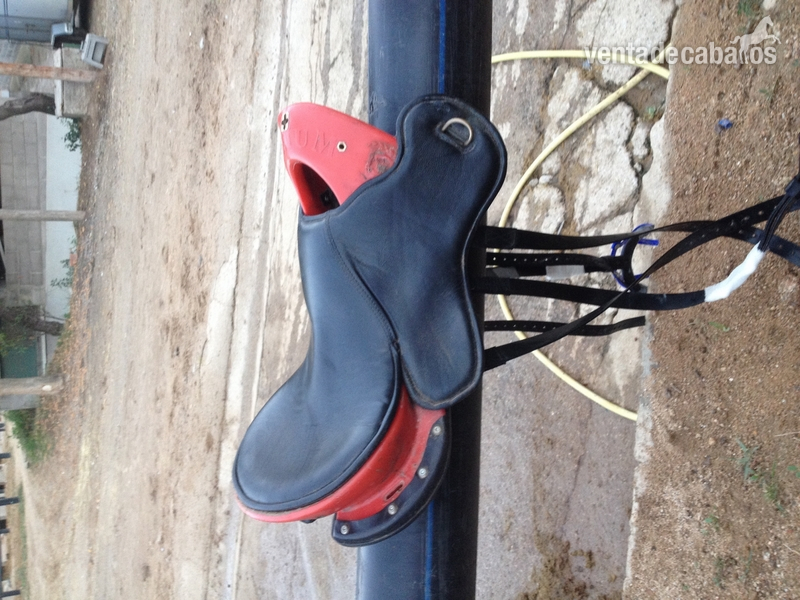  Se vende silla PODIUM