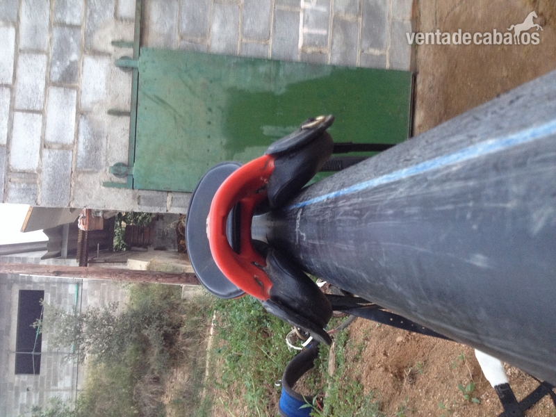 Se vende silla PODIUM - Sillas de montar
