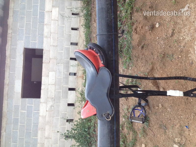 Se vende silla PODIUM 