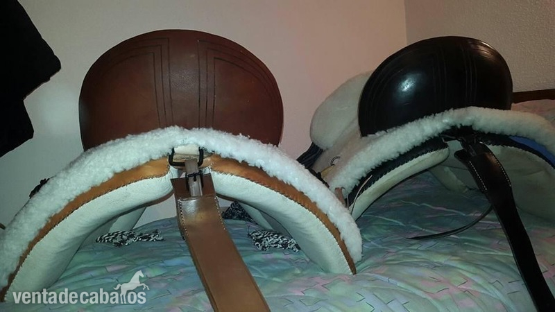 Sillas de montar - Silla mixta de lujo in 