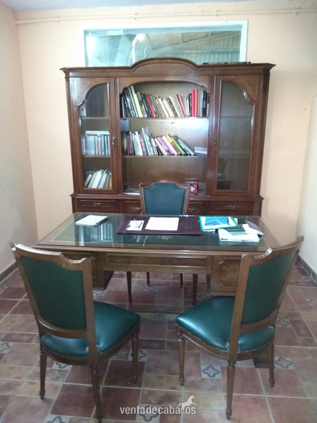 Venta de centro hipico - Finca ecuestre