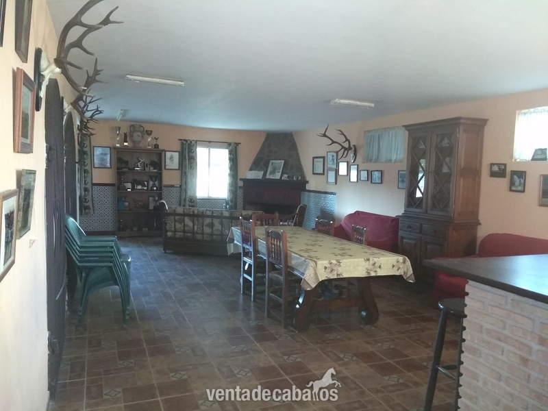 Venta de centro hipico Madridejos