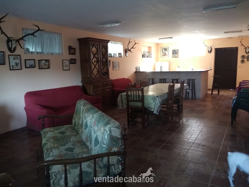 Finca ecuestre - Venta de centro hipico in Madridejos