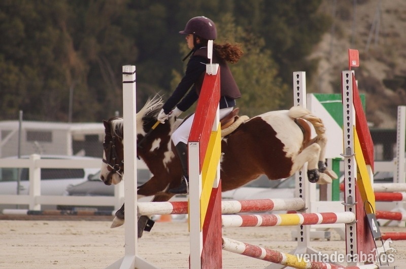 Poni B salto