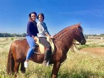 Venta Caballo P.R.E