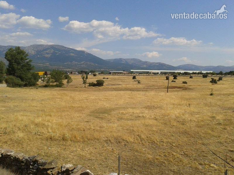 Alquiler finca rustica pastos para ganado  in Soto del Real
