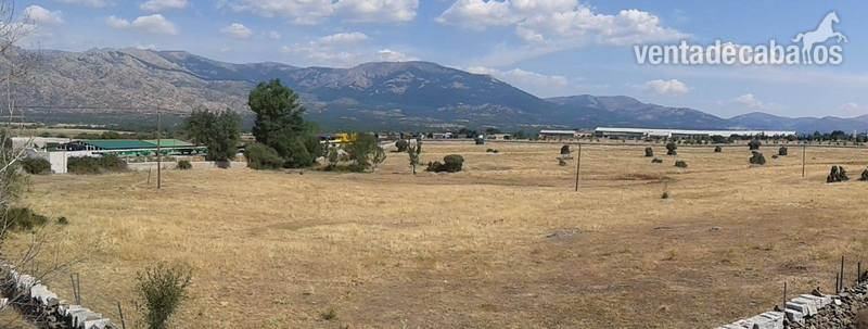 Alquiler finca rustica pastos para ganado 
