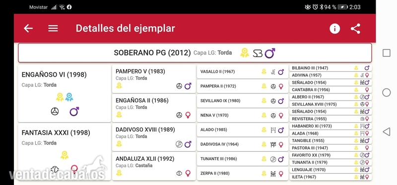 Pura Raza Española {TYPE}