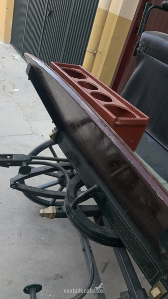VENTA COCHE DE CABALLO TIPO BUGGY in 