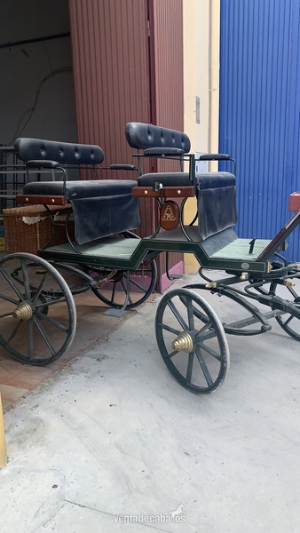 VENTA COCHE DE CABALLO TIPO BUGGY
