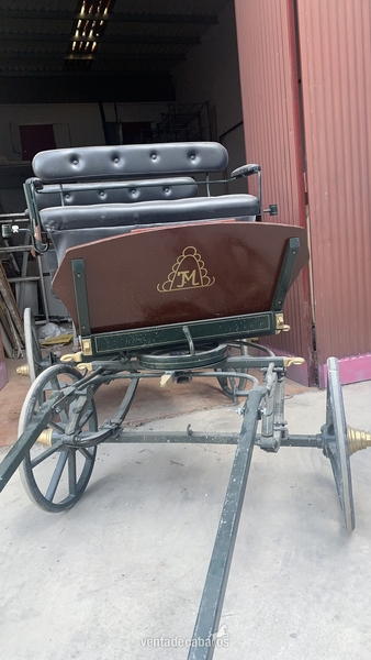  VENTA COCHE DE CABALLO TIPO BUGGY