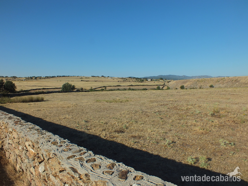 Alquiler finca rustica 5ha pastos para ganado