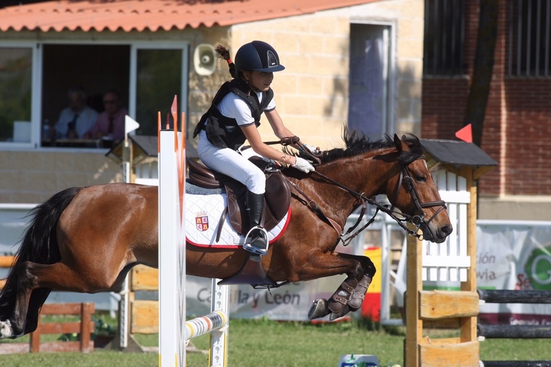 Poni de Competicion / Deporte