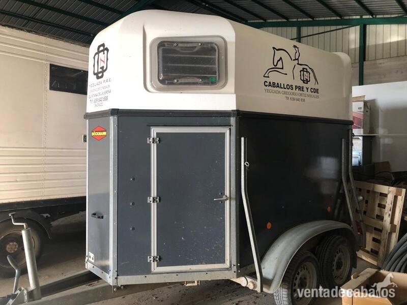 SE VENDE VAN DE 2 CABALLOS in 