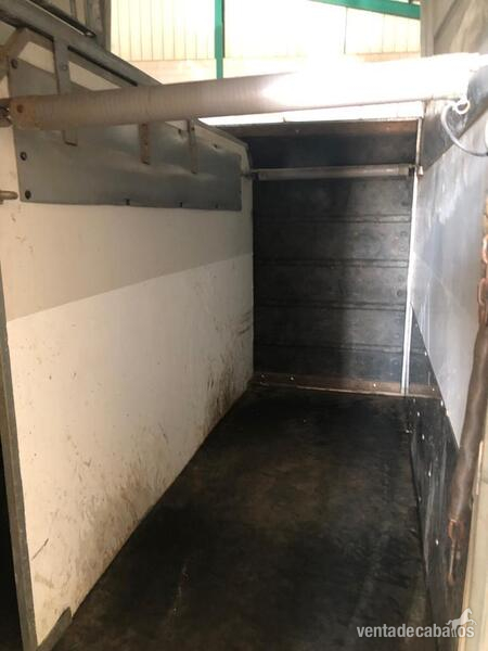 SE VENDE VAN DE 2 CABALLOS