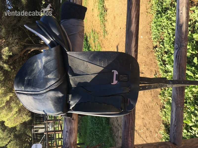Silla kn synphonie rumba 17,5 - Sillas de montar