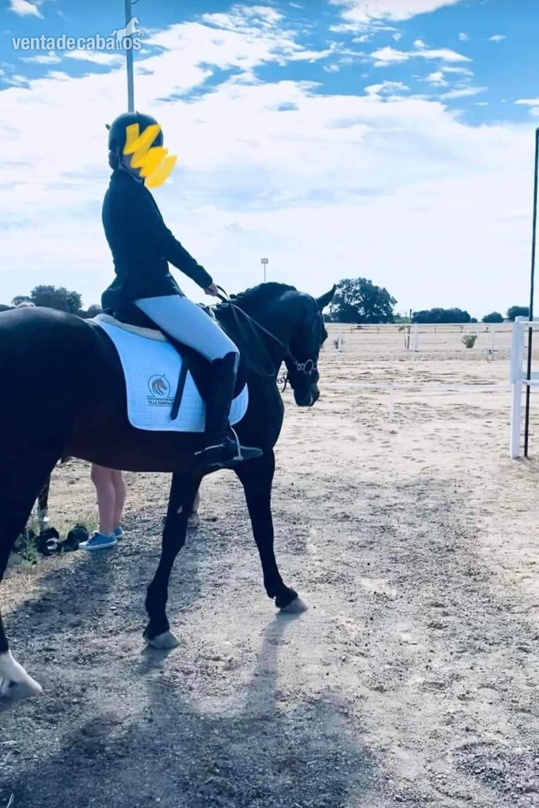 En venta caballo hispano árabe de doma y salto - EMPTY
