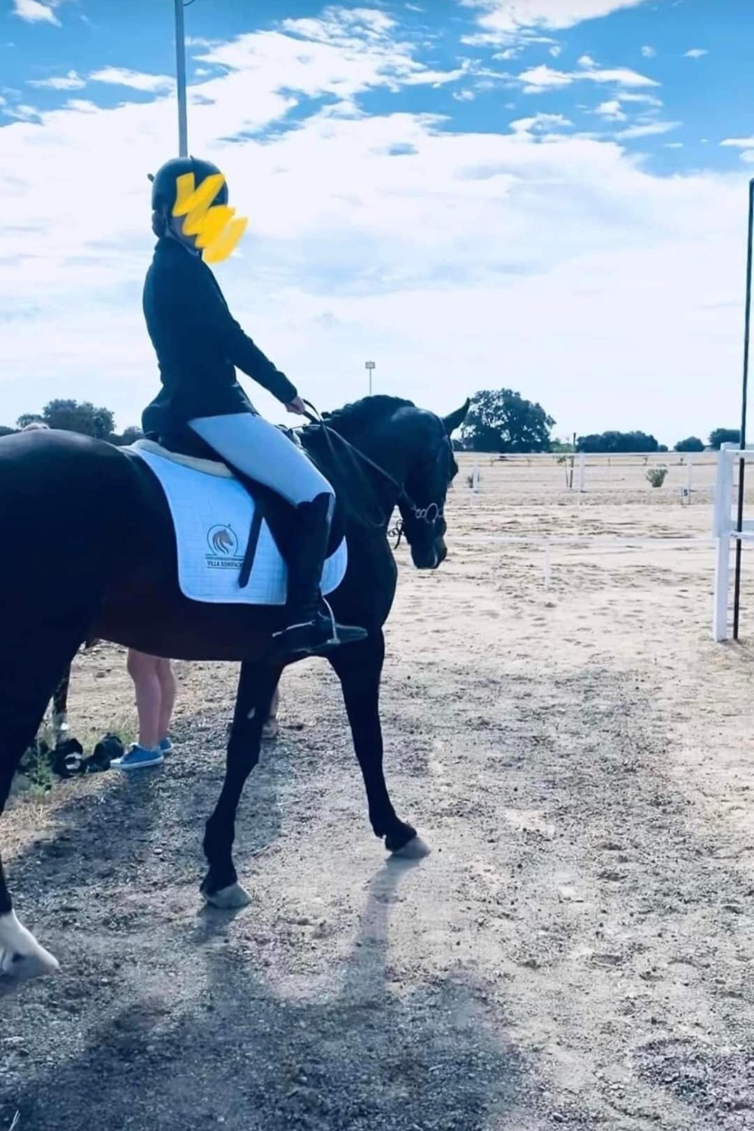 En venta caballo hispano árabe de doma y salto - EMPTY