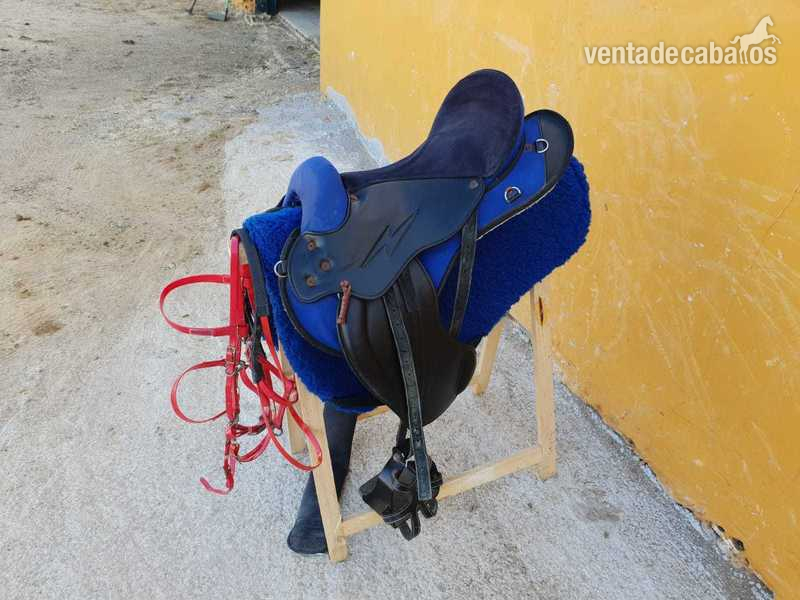 MONTURA COMPLETA Y CABEZADA in 