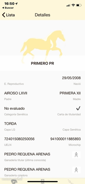 Pura Raza Española {TYPE}