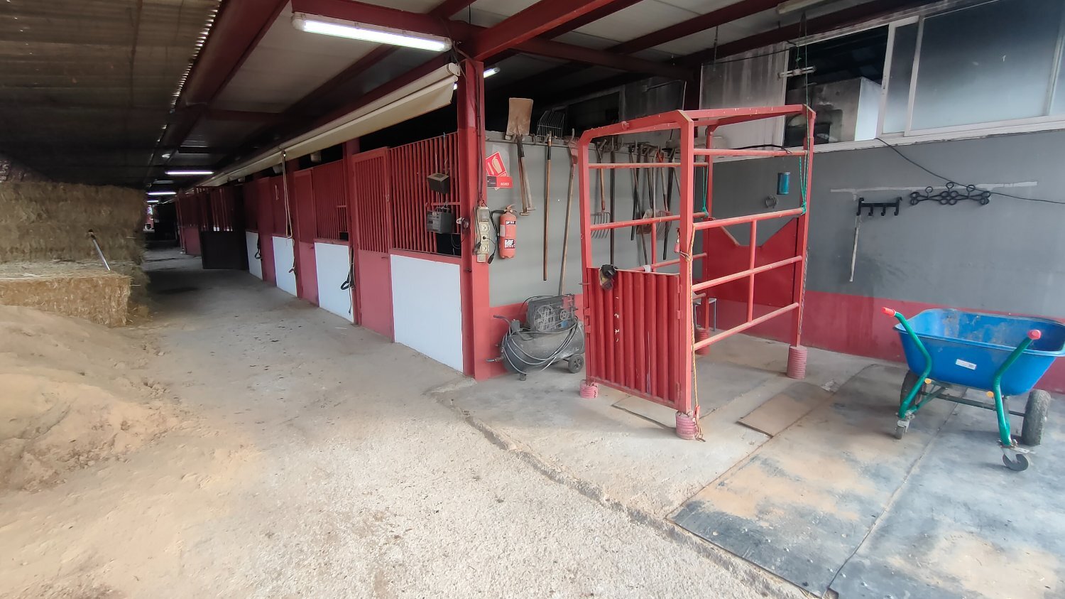 Centro Hípico Jaén - Hípicas y establos en venta in Jaen