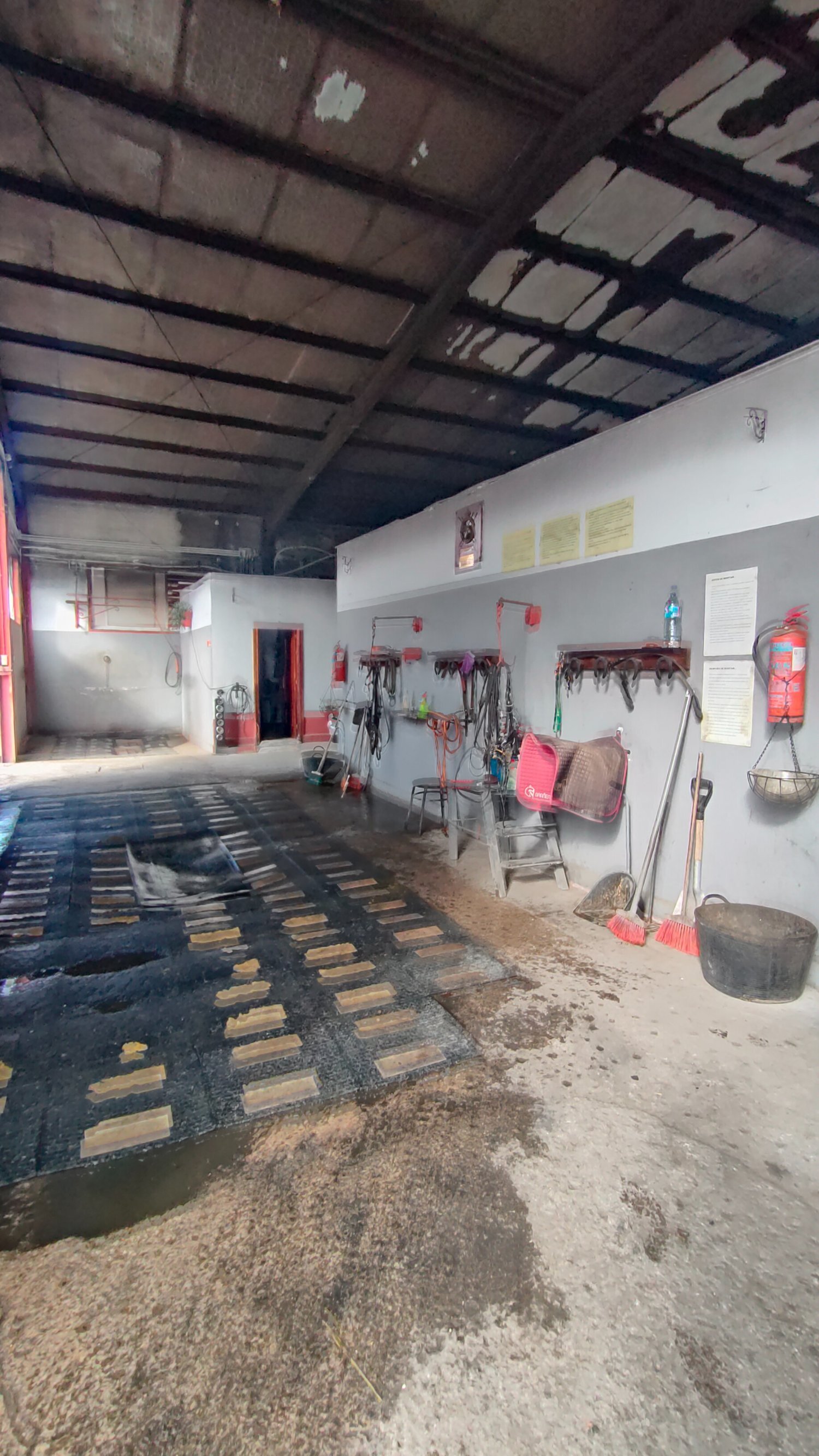 Hípicas y establos en venta - Centro Hípico Jaén in Jaen