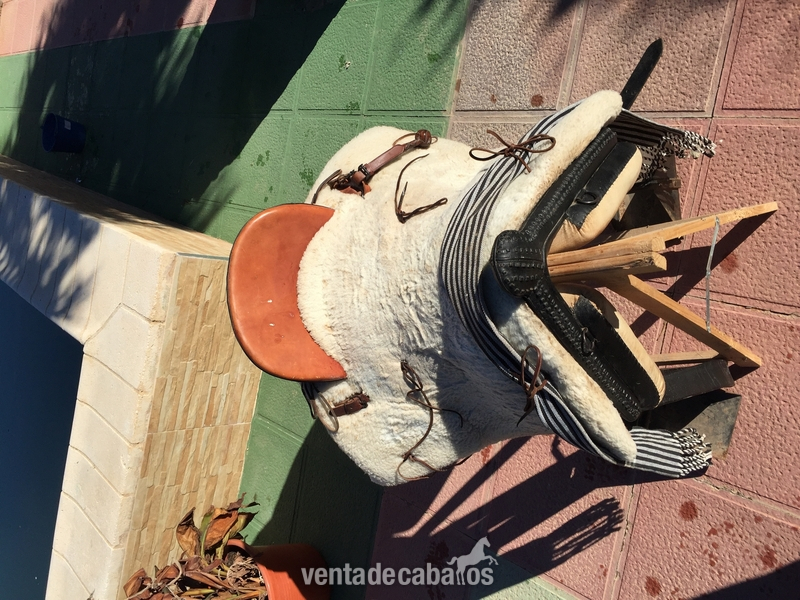 Montura vaquera in 