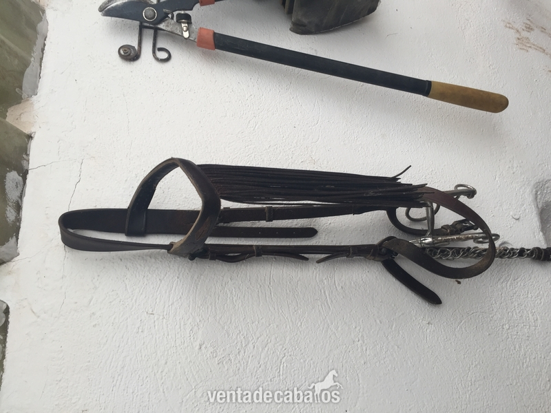 Montura vaquera - Sillas de montar in 