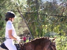 Busco caballo en cesión/compartido (Barcelona)