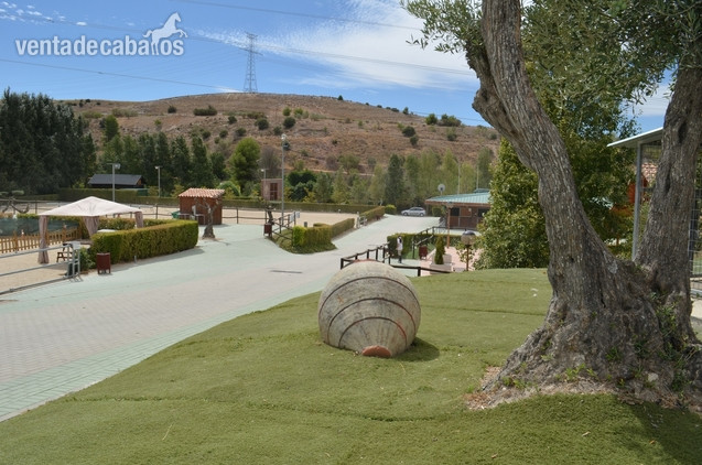 Finca ecuestre - Instalaciones de hípica y deportivas preparadas de una manera excepcional  situadas en la zona Sureste de la Comunidad de Madrid, en el municipio de Arganda del Rey, con una superficie de 40.000 m², 