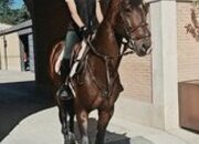Caballo Joven, espectaculares Origenes !!