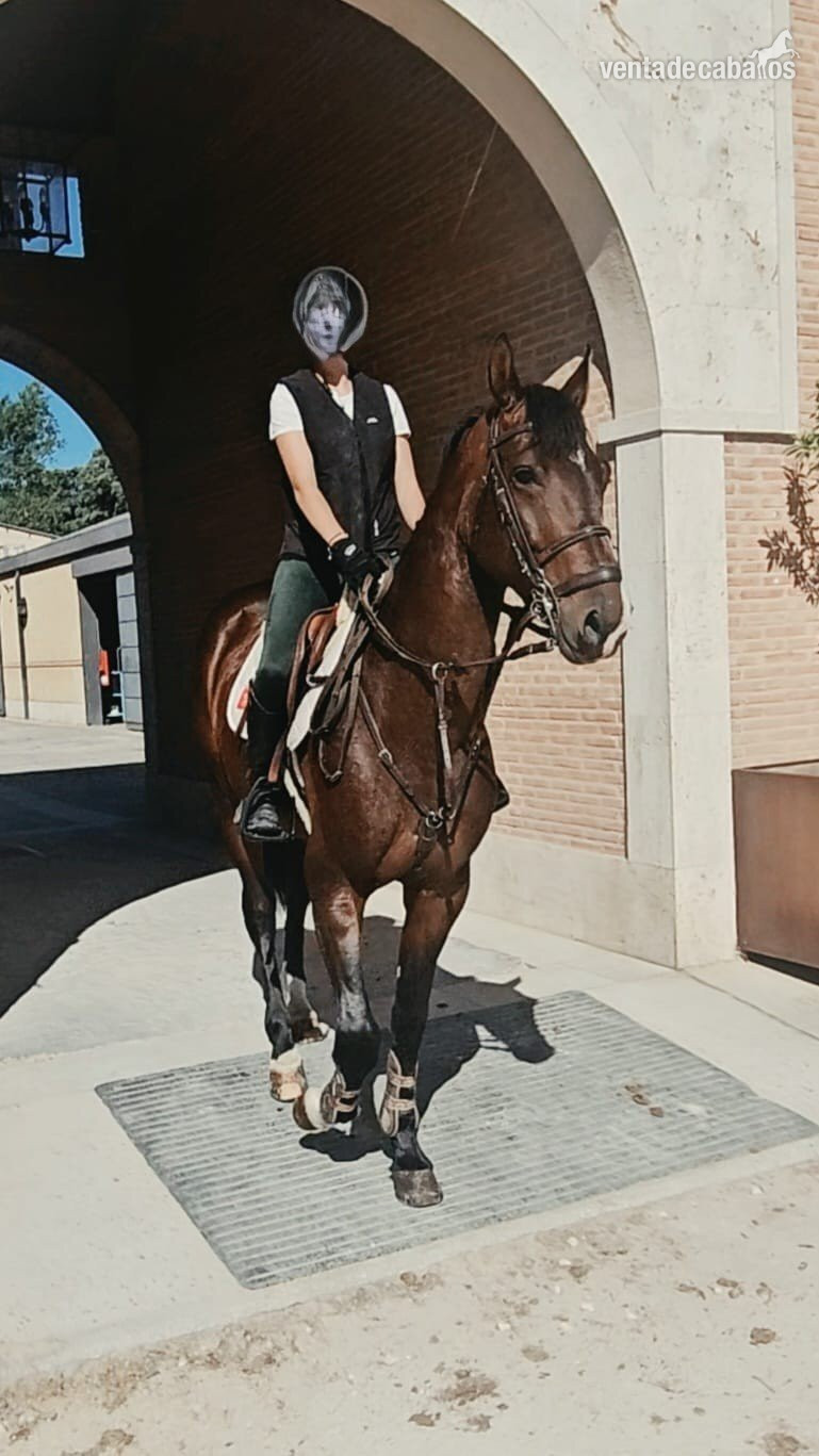 Caballo Joven, espectaculares Origenes !! in 
