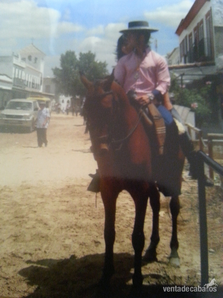 Hispano-Arabe {TYPE}