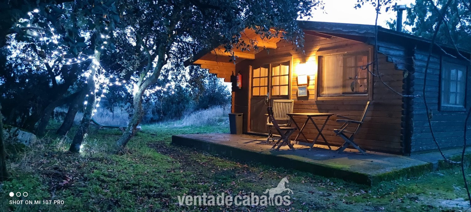 Madrid , Finca con casa e instalaciones ecuestres  - Finca ecuestre