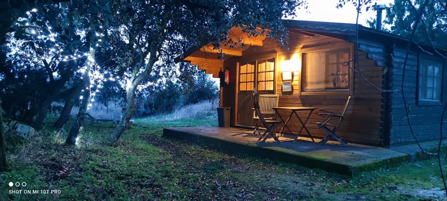 Madrid , Finca con casa e instalaciones ecuestres  - Finca ecuestre