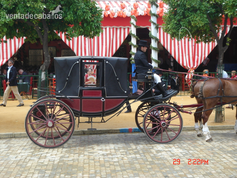 coche de caballo landau redondo in 