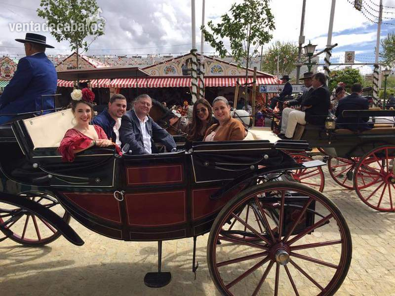  coche de caballo landau redondo