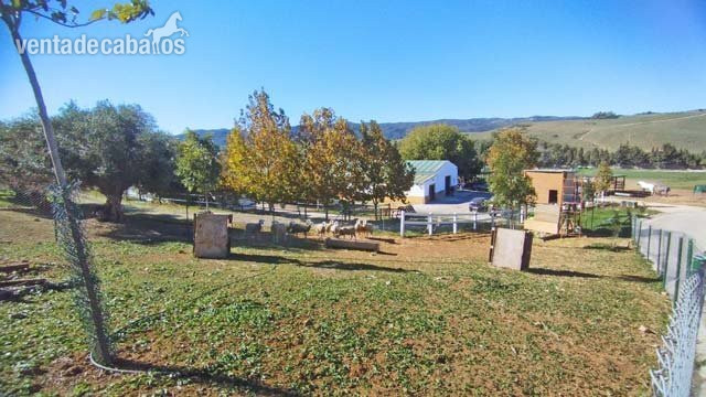 Andalucia, Sotogrande/ Jimena de la Frontera - Finca con cuadras in Jimena de la Frontera