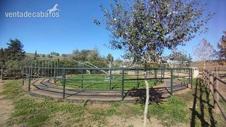 Andalucia, Sotogrande/ Jimena de la Frontera - Finca con cuadras Jimena de la Frontera