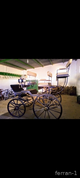Vendo coche caballo 