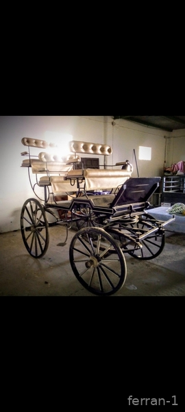 Vendo coche caballo  - Carruajes y Enganches in 