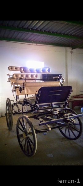 Vendo coche caballo  - Carruajes y Enganches
