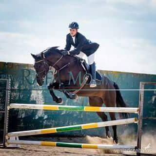 caballo de salto in 