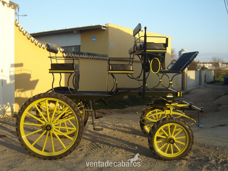 COCHE DE CABALLOS: CARRO DE DOMA in 