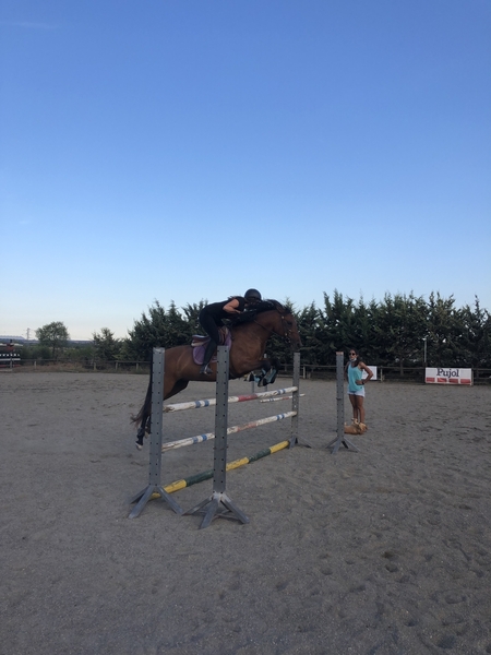 Hispano arabe  {TYPE}